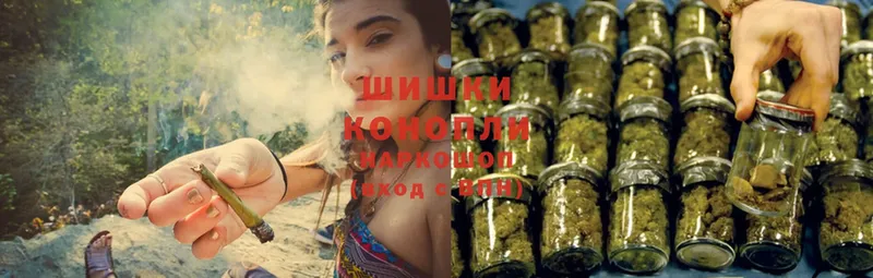 Марихуана SATIVA & INDICA  Гороховец 